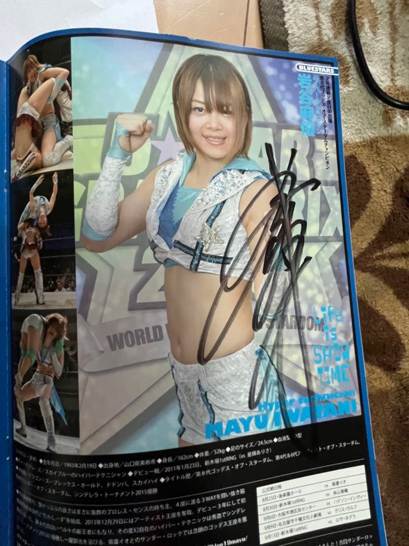 スターダム観戦ガイドブック 紫雷イオ、岩谷麻優、サンダーロックカード付き