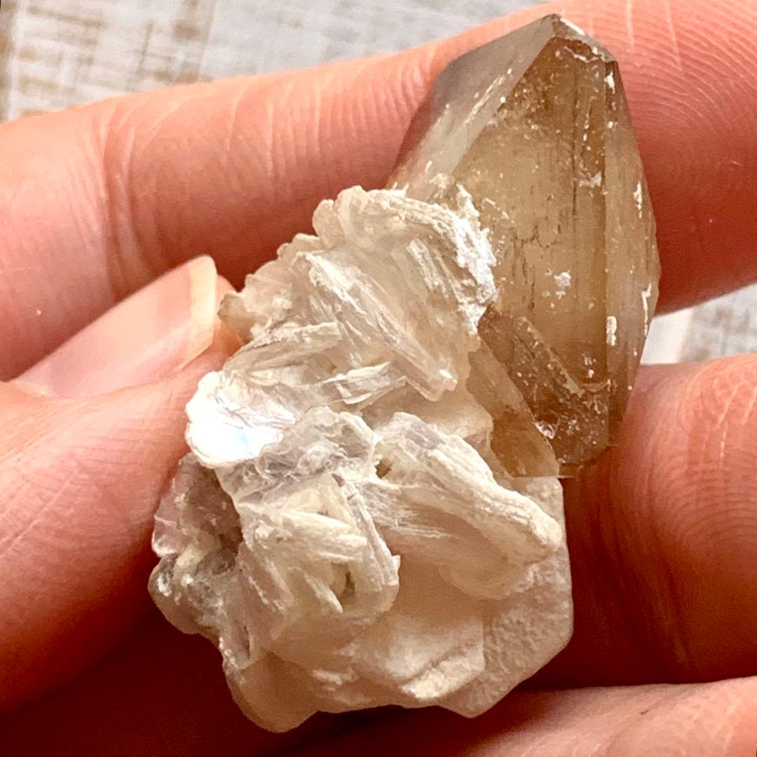 珍品！トパーズ共生標本B/モスコバイト/スカルドゥ産