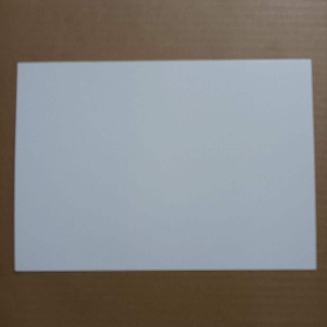 NIGHTWISH メンバー全員 直筆サイン色紙 美品