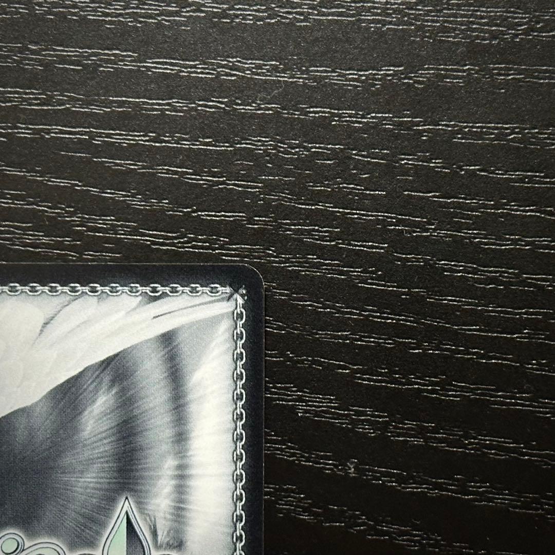 WS 純白の願い 中野五月 HYR