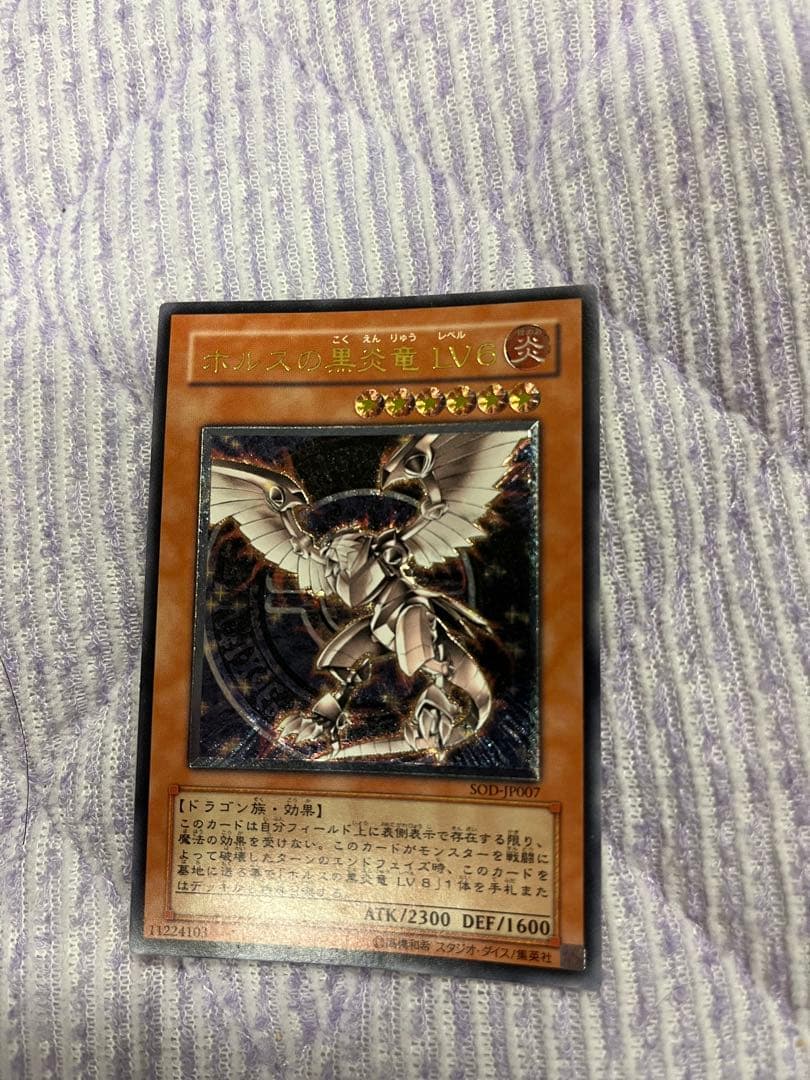 遊戯王カードホルスの黒炎竜LV6