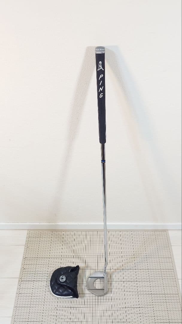 ピンＰＩＮＧ　ＦＥＴＣＨ（２０２４）　３４インチ