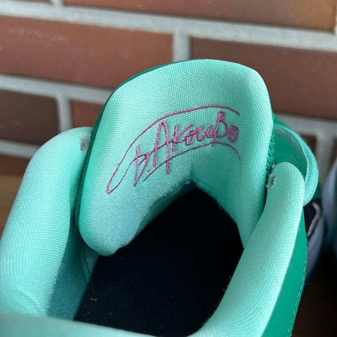 海外限定 日本未発売 Nike Zoom Freak 5 'Flowers'11