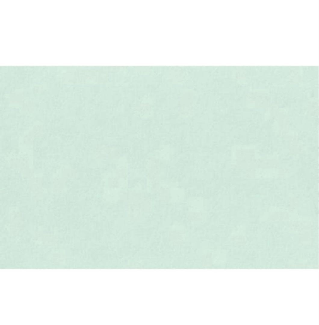 ぴいちゃん様・専用