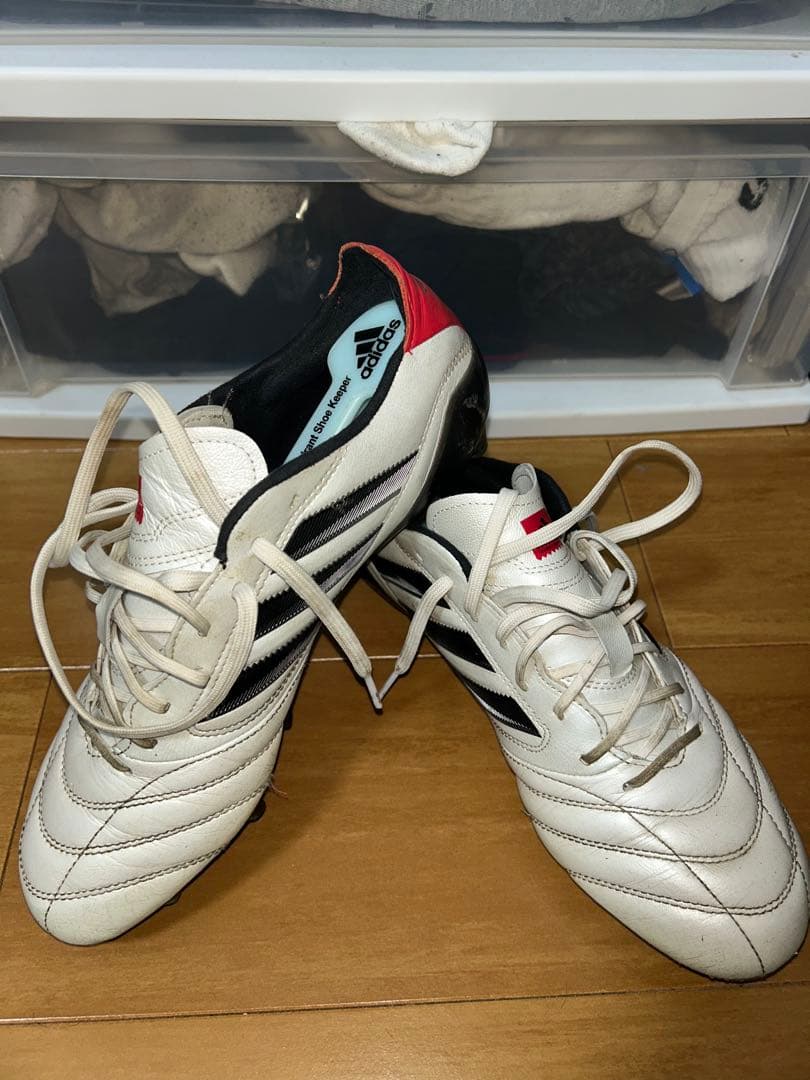 シューズ kartoon