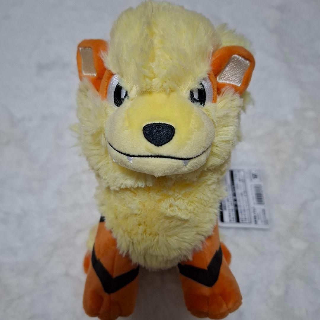 ポケモンセンター　ウィンディ　ぬいぐるみ