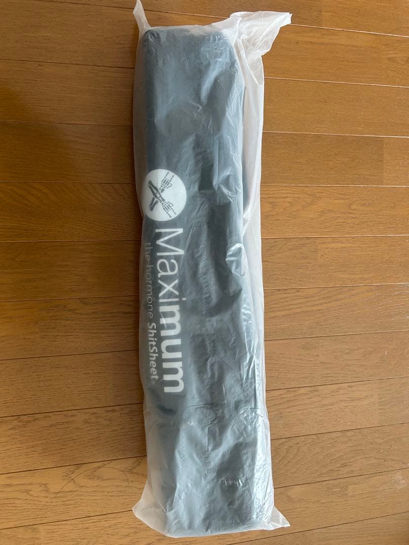 【未開封新品】マキシマムザホルモン アウトドアチェア