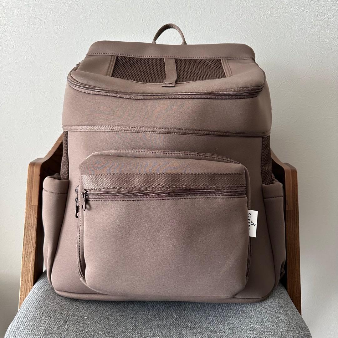 【美品・希少なLサイズ】ネオプレーンバックパックキャリー