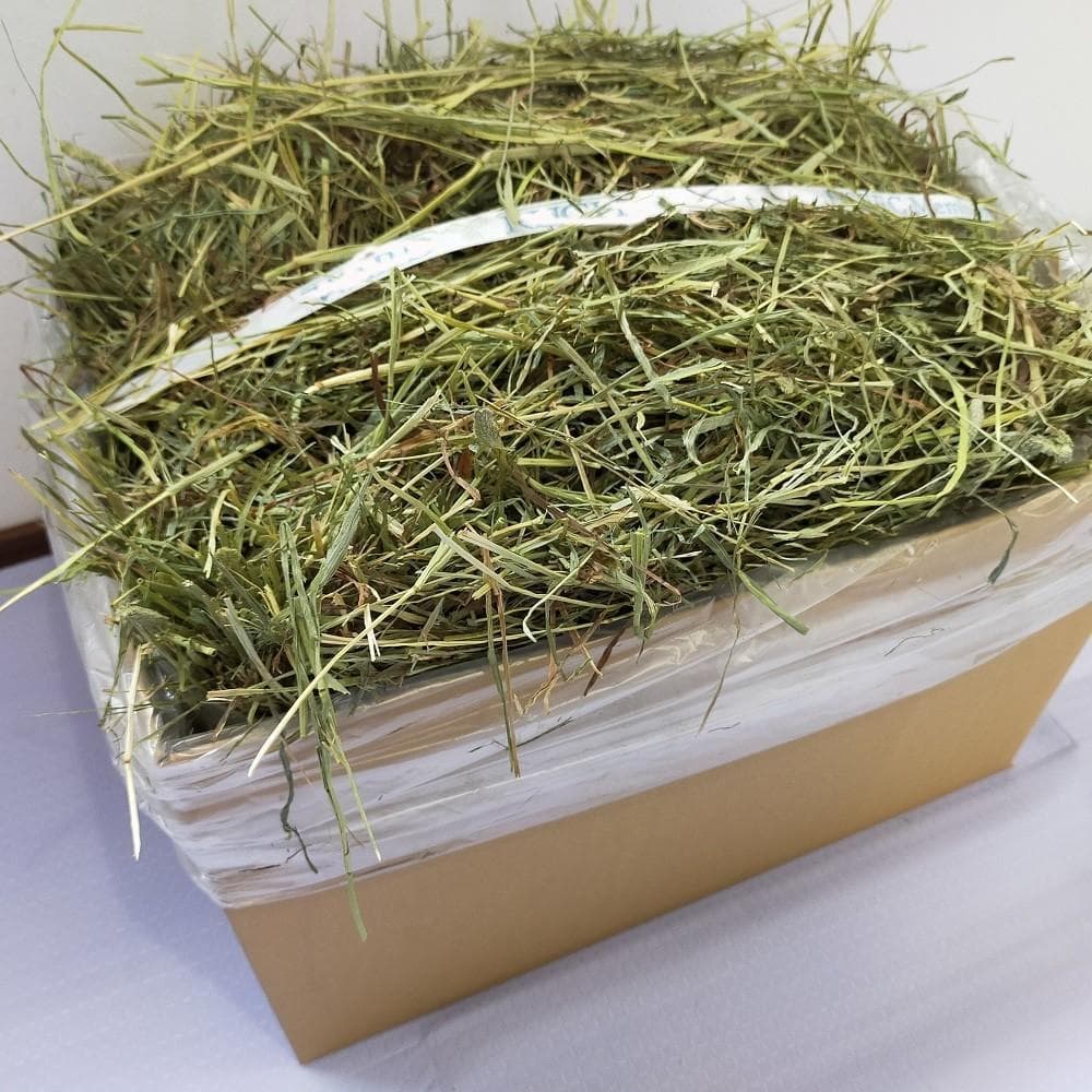 US産 チモシー 40kg ２番刈 ソフトスーパープレミアム