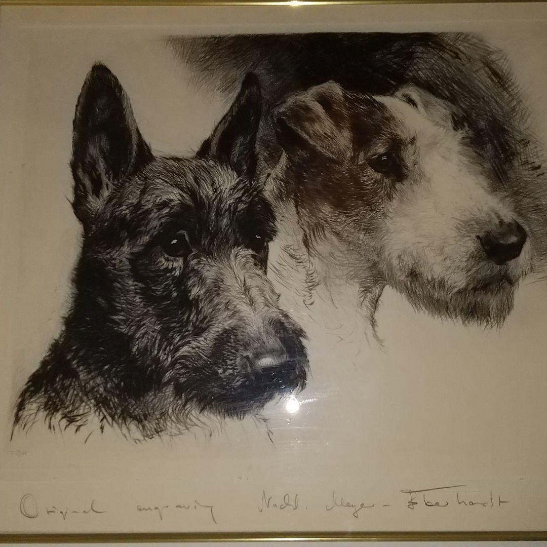 『2匹のテリア犬』ヴィンテージ銅版画  Meyer Eberhardt