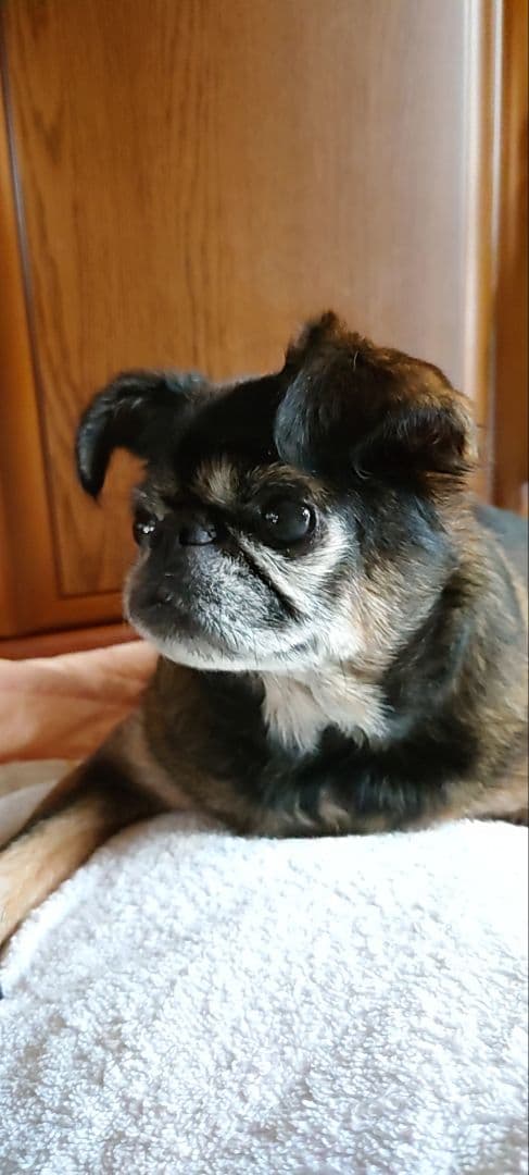 ＡＫＡＲＩさまへ