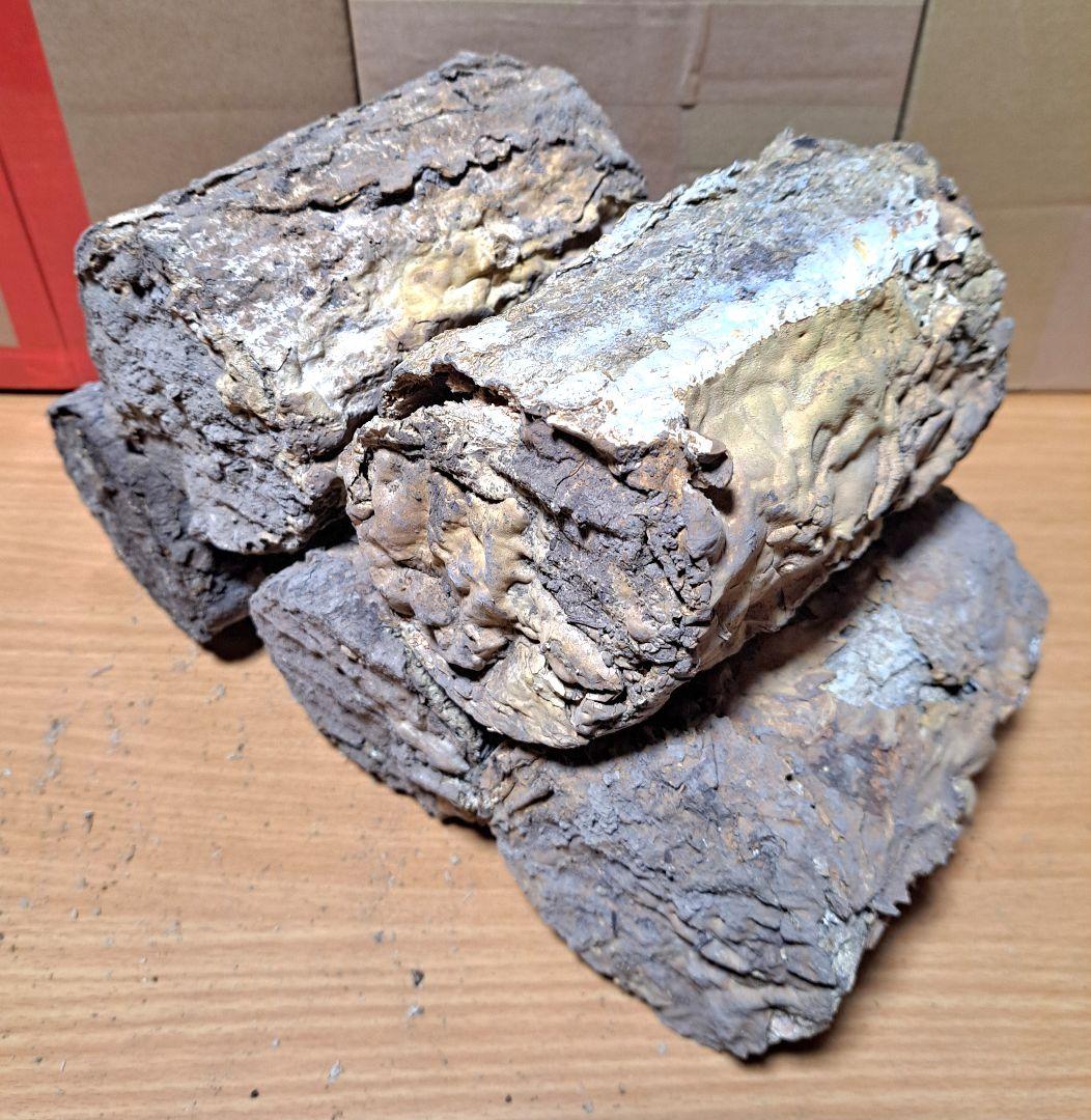 １０本！ Ｌ×５本 Ｍ×５本 クヌギ 土埋め レイシ 霊芝 産卵材 柔らか仕上げ