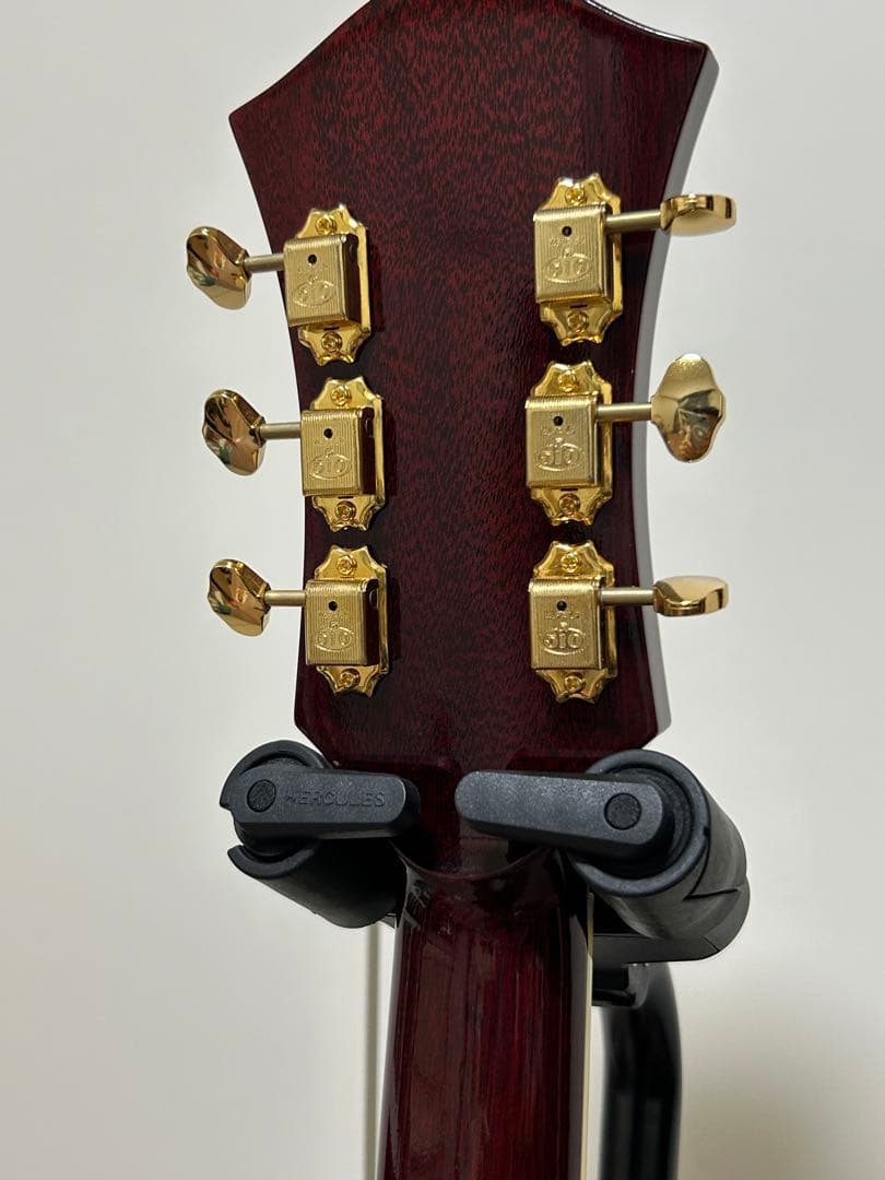 ギター ROZEO Ladybug-CB BG-CTM Bigsby