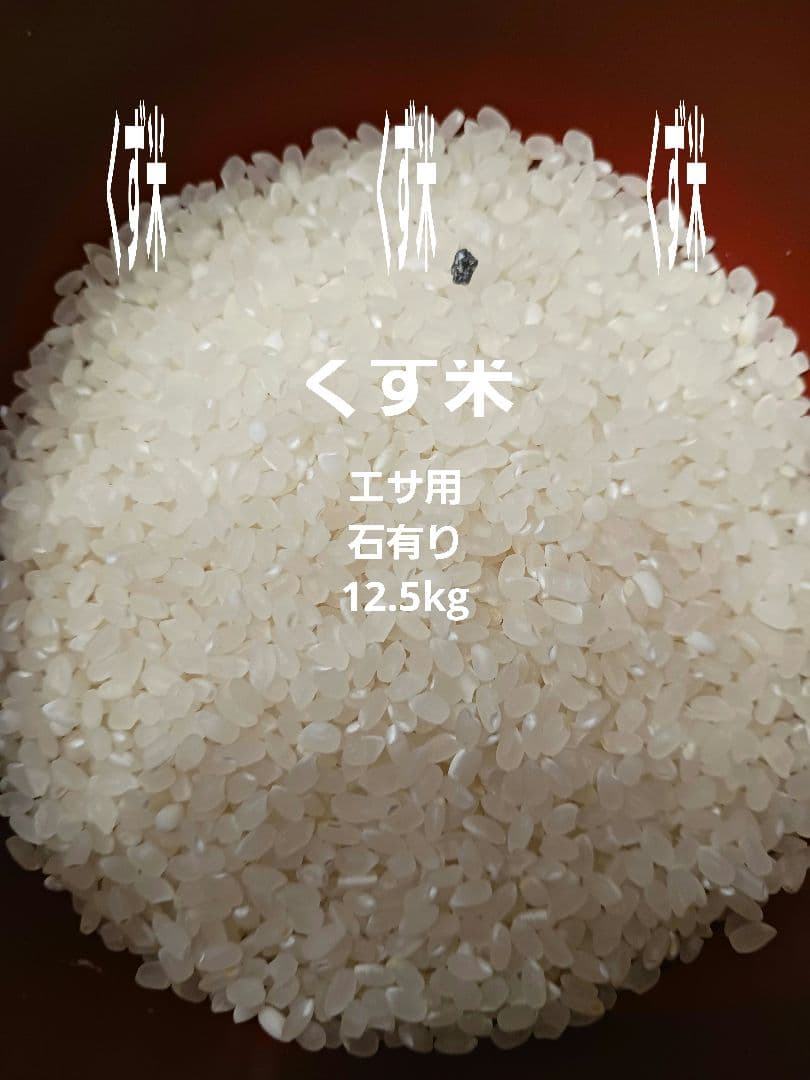 エサ用 令和6年産 くず米 精米済 エサ用 袋込み12.5kg 石有り