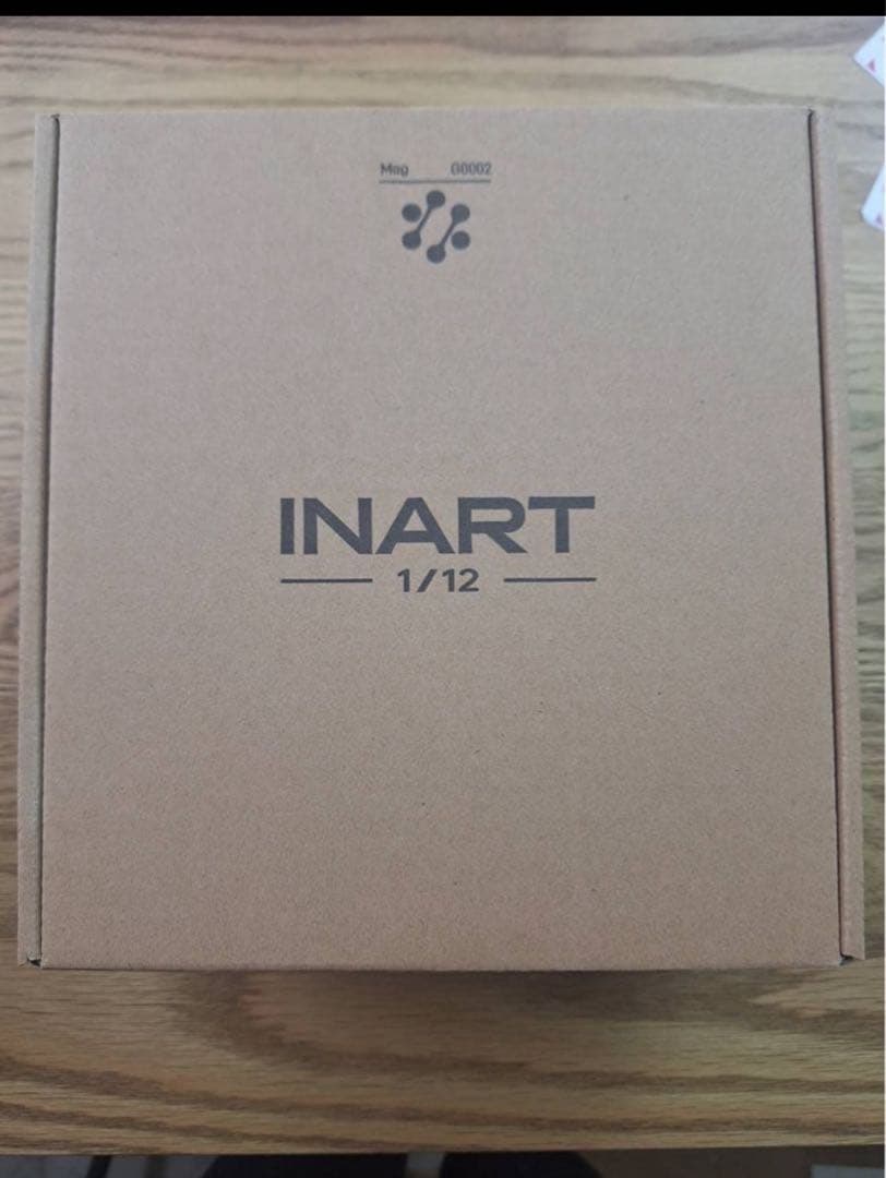 Black Wukong - Inart アクションフィギュア　新品