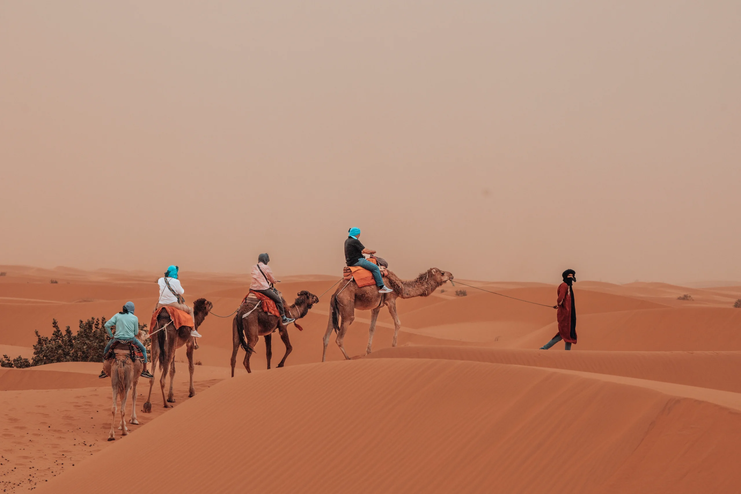 15 Days Family Tour Around Morocco from Casablanca